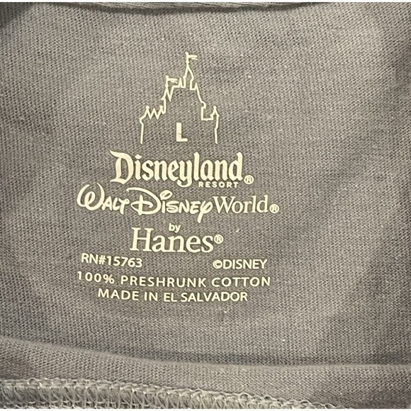 Vintage Disney Splash Mountain IT WAS SOAKING AWESOME T-Shirt Sz L VERY RARE - Picture 4 of 5